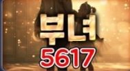 5617